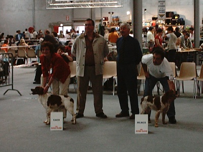 De la Pinède aux Oliviers - Exposition Canine Internationale de Besançon